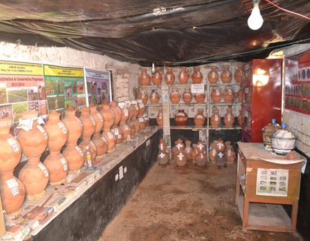 Amarkanan Rural Socio Environmental Welfare Society