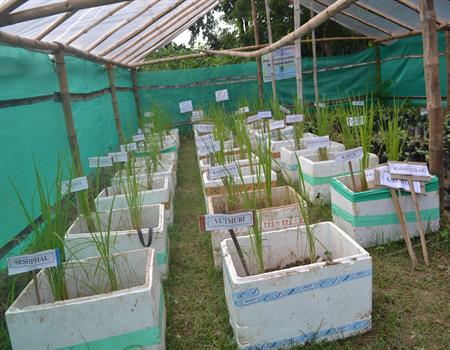 Amarkanan Rural Socio Environmental Welfare Society