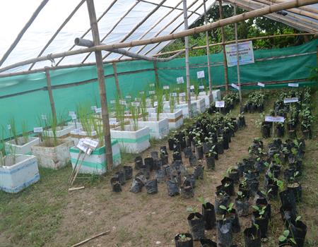 Amarkanan Rural Socio Environmental Welfare Society