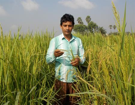 Amarkanan Rural Socio Environmental Welfare Society